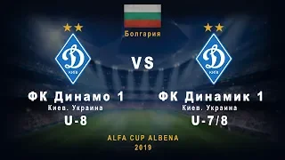 U-8. ФК «Динамо» Киев 1 - U-7/8. ФК «Динамик» 5:0