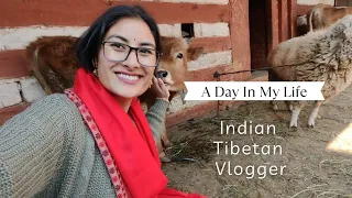 A day in my Life #1 ❤️ #indian #tibetan #vlogger @simplydeepika1539