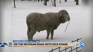 'On The Michigan Road' throwback: 1988 sheep shearing