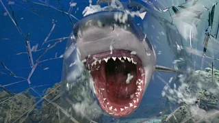Surprise in the Aquarium, Fjärilshuset - Auto Stereoscopic 3D (AS3D) advertisement - by Wizzcom