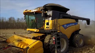 Harvest time 2017. Alberta, CANADA. NEW HOLLAND CR9090 and JOHN DEERE 9620