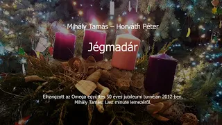 Mihály Tamás – Horváth Péter: Jégmadár