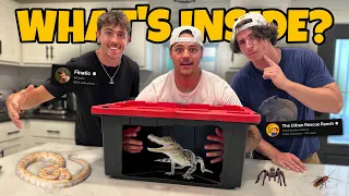 GUESS WHAT ANIMAL is INSIDE the BOX!! (Exotic Animal Edition)