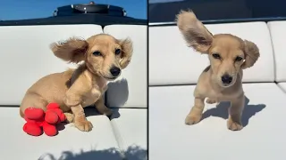 LEO living his BEST LIFE on that YACHT 😍