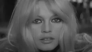 The Brigitte Bardot Beat - Tribute Homage