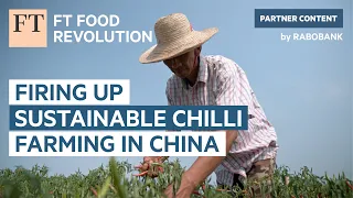 Firing up sustainable chilli farming in China | FT Food Revolution