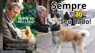 Sempre ao Seu Lado (2009) 10 Curiosidades sobre o filme.