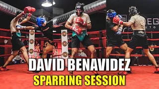 David Benavidez Sparring Session