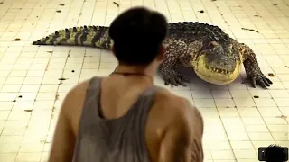 Ele ficou PRESO em uma piscina de 6m com um CROCODILO por 7 dias! - RECAP