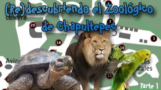 Visitamos el Zoológico de Chapultepec después de mucho tiempo Pt.1