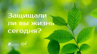 Мини-курс "10 этических принципов жизни". 1 принцип 🌱