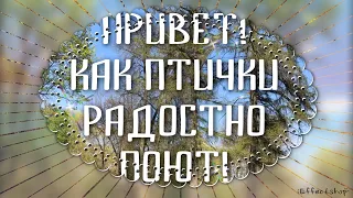 Послушай,птички радостно тебе поют! И утра доброго от души желают!