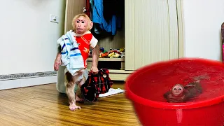 Super Cute! Bibi prepares clothes to go swimming when Dad is busy