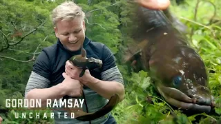 🇳🇿 Gordon's Incredible Bare-Handed Eel Catch | Gordon Ramsay: Uncharted