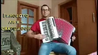 Vinovata li ya - Виновата ли Я  - аккордеон - (Russian Folk Song - Русская песня)