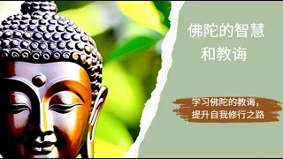 佛陀的智慧和教诲：学习佛陀的教诲 提升自我修行之路