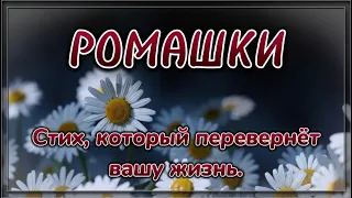 Красивый стих. Жизненная поэзия. БУКЕТ РОМАШЕК. 🌼🌼🌼