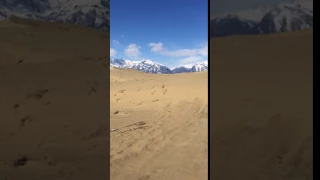 КОДАР 2016 Чарские пески