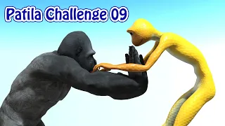 Patila Challenge Part 09 | Patila vs Gorilla Fight With Fun