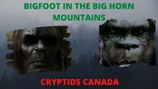 EPISODE 116  BIGFOOT IN THE BIG HORN MOUNTAINS
