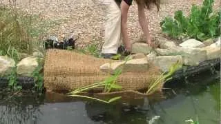 Kokosmatte für einen natürlichen Teichrand, Teichrandbepflanzung mit Pflanztasche