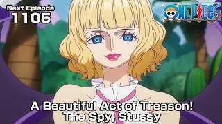 A Beautiful Act of Treason! The Spy, Stussy Hidden journey of One Piece Theory [AMV]  7 years .....