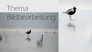 Thema Bildbearbeitung