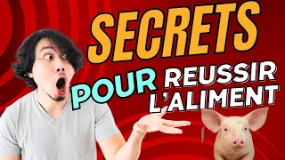 Comment nourrir les TRUIES pour une BONNE FERTILITE, Secret pour REUSSIR la COMPOSITION DE L'ALIMENT