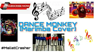 "DANCE MONKEY" Marimba Cover