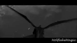 Hiccup & Toothless - Angel of Darkness AMV