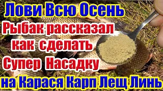 Лови Всю Осень! Супер Рыболовная насадка на Карася Лещ Линь Насадка для карася На что ловить карася