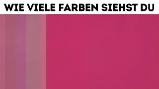 Überprüfe, ob du mehr Farben siehst als andere Menschen