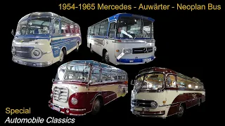 1954 -1965 Mercedes - Auwärter - Neoplan - Bus Special