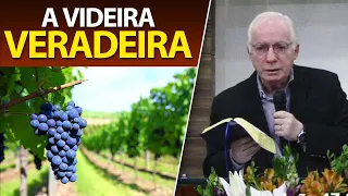 A VIDEIRA VERDADEIRA em João 15 | Pregação do Pastor Paulo Seabra em 2021