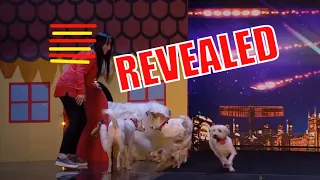 REVEALED - Five Dogs Trick BGT JUDGES !