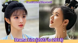 Tian Xi Wei and Zhao Lu Si  | Drama List (2023 to 2018) |