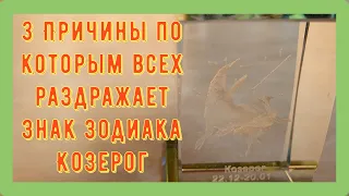 3 Причины по которым всех раздражает Знак Зодиака Козерог