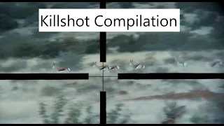 KAROO HUNT// Kudu, Springbuck, Fallow Deer// Killshot Compilation