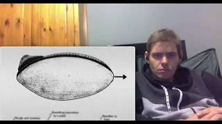 The Unknowns Mystifying UFO Cases (Reaction)