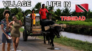 OMG! Village Life in Trinidad & Tobago is NOT What you Think! 🇹🇹