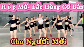 30ph Tập Aerobic Giảm Cân Cực Nhanh Cho Người Béo Bụng | Bài Tập Cơ Bản