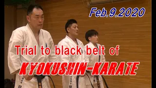 Trial to black belt of Kyokushin Karate