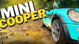 Таких одиниці, Огляд - Mini Cooper One r50 2006 року!