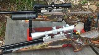 SPECIAL EDITION: Daystate Wolverine Forester Air Rifle