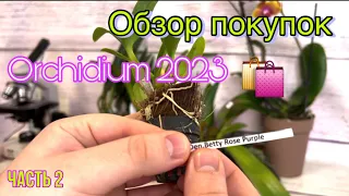 Обзор моих покупок на Осеннем Orchidium 2023 || Выставка орхидей в Москве ||Такого я не видел еще 😱