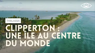 Clipperton, une île au centre du monde - Thalassa