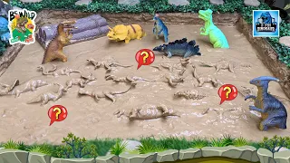 Guess the Animal: Find the Mud Camouflaged Dinosaurs! | Fun Learning with D for Dinosaur