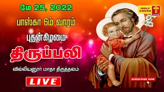 25 May 2022 Tamil Mass | Villianur Lourdes Shrine | Holy Cross Tv | Daily Tv Mass | Today Tv Mass