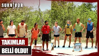 Yeni Haftanın İlk Takımları Belli Oldu | Survivor 81. Bölüm