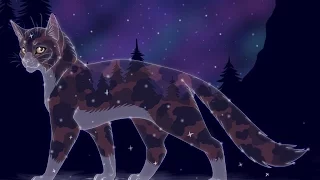 Top Fifteen Most Beautiful Warrior Cat She-Cats With Amber Eyes